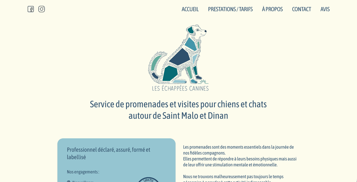 capture Les échappées canines